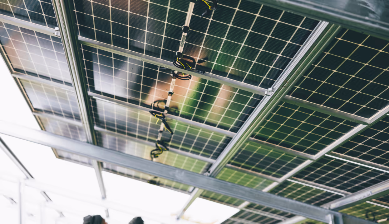Solar panels seen from below